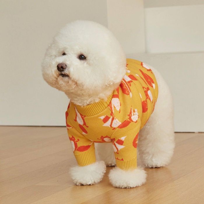 ※予約販売【andblank】Captain Fox Knit（Lemon） 韓国 ブランド かわいい おしゃれ プレゼント 小型犬 NEW 中型犬 春 秋 冬 お出かけ 大型犬 犬