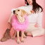 ͽmax boneChristian Cowan x maxbone JumperHot pink ڹ ֥ 襤  ץ쥼  ɥå NEW     緿 