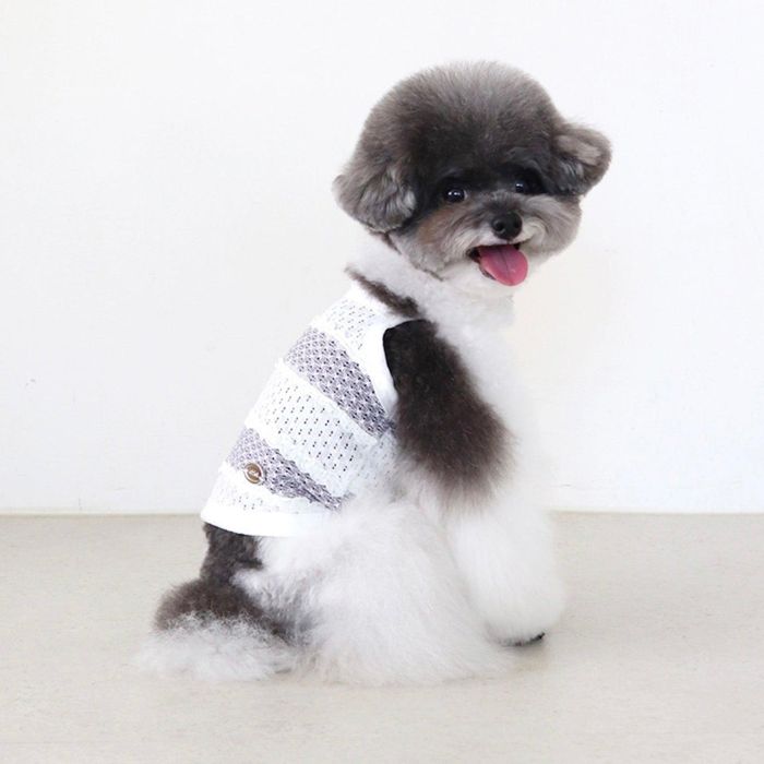 ¨ǼChiotAura Crop TopGray  ɥå    ꡼֥쥹    