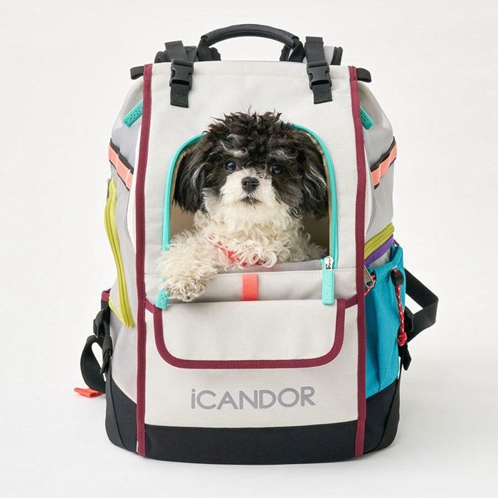 楽天URBAN DOG TOKYO 楽天市場店※予約販売【iCANDOR】JIGE bag（Misty Gray）