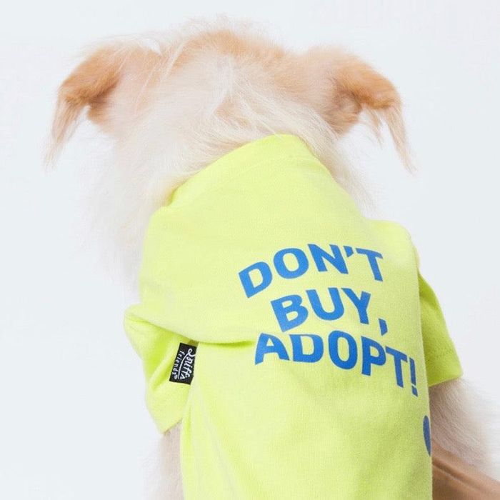 即納【Sniff × OhBoy!】CAMPAIGN BASIC TOPS（ネオンイエロー） 韓国 ブランド かわいい おしゃれ プレゼント 小型犬 NEW 春 夏 秋