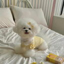 ※予約販売【Hi Yeboo】Cozy Cardigan(Yellow) 韓国 ブランド かわいい おしゃれ プレゼント 小型犬 NEW 春 夏 秋 冬