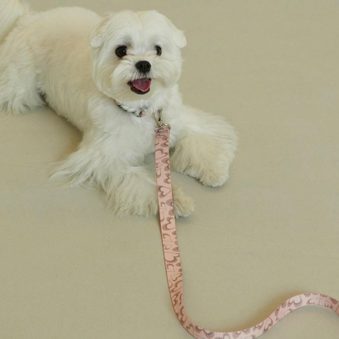 ※予約販売【foreverybari】Marble Heart Pet Leash（Strawberry） 韓国 犬用品 ドッググッズ リード 犬のリード 犬用リード 引き綱 りーど 犬リード 散歩リード