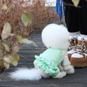 ※予約販売【GET BACK】Goose Over all one(Mint) 犬服 ドッグウェア 犬の服 小型犬 小型犬服 犬用品 ドッググッズ 韓国 ハーネス 冬