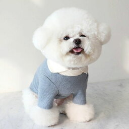 ※予約販売【Chiot】BLANC KNIT COLLAR T-SHIRT（Blue） 韓国 ブランド かわいい おしゃれ プレゼント 小型犬 NEW 春 秋 冬