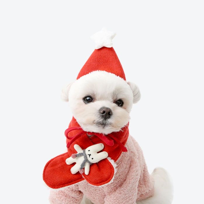 ※予約販売【ITS DOG】Hey bunny knit hat (red) 犬用品 ドッググッズ ドッグウェア 犬服 犬の服 小型犬..
