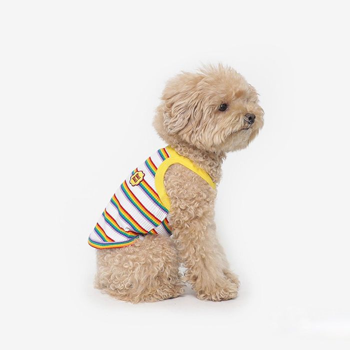 ͽTUSTUSStripe Candy Top  ɥå  ꡼֥쥹  ɥåå ڹ  ...