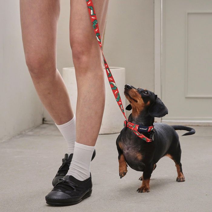 即納【andblank】LAZY CROCODILE COLLAR 韓国 犬用品 ドッググッズ 首輪 犬の首輪 ドッグカラー 犬首輪..