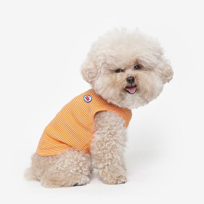 即納【TUSTUS】Basic Stripe Sleeve（Orange） 犬服 ドッグウェア 犬の服 スリーブレス 犬用品 ドッグ..