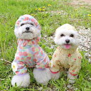 ※予約販売【ITS DOG】Flower Bug Guard All-in-One ITS DOG Flower Bug Guard All-in-One 韓国 犬用品 ドッググッズ ドッグウェア 犬服 犬の服 小型犬 小型犬服