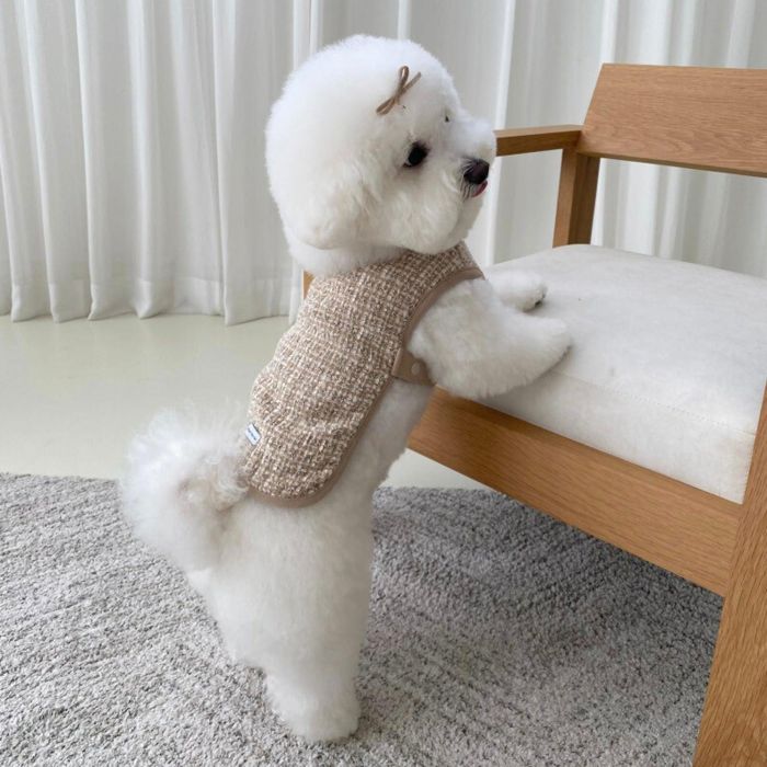 ※予約販売【Bonjour TOU-TOU】Tweed Glas Bustier（Beige） 犬服 ドッグウェア 犬の服 小型犬 小型犬服..