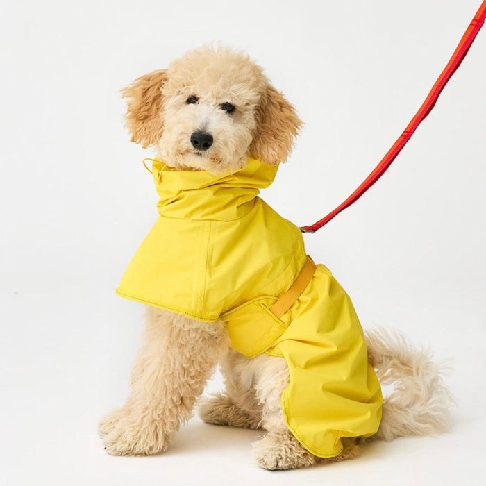 ※予約販売【iCANDOR】ADVENTURE RAINCOAT EARTH(CORN YELLOW) 犬用品 ドッググッズ ドッグウェア 犬服 犬の服 レイン...