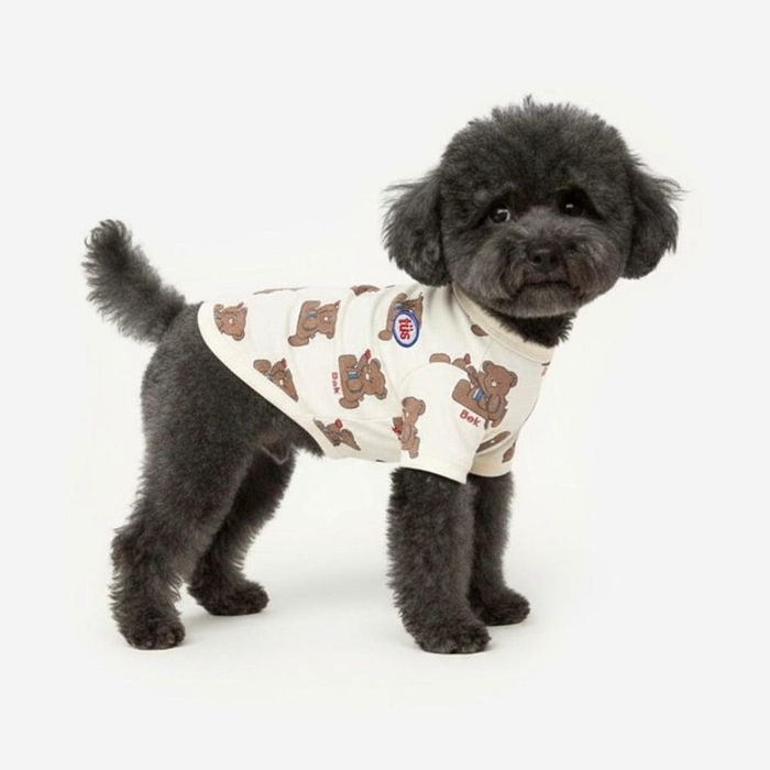 ※予約販売【TUSTUS】Bok bear tee（tustus x Stickybok） 犬服 ドッグウェア 犬の服 韓国 犬用品 ドッ..