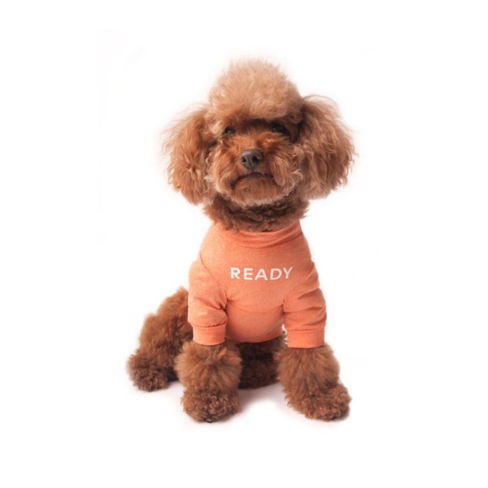 即納【monchouchou】READY & JUMP T-shirt（READY） 韓国 ブランド かわいい おしゃれ プレゼント 小型犬 NEW 春 夏 秋