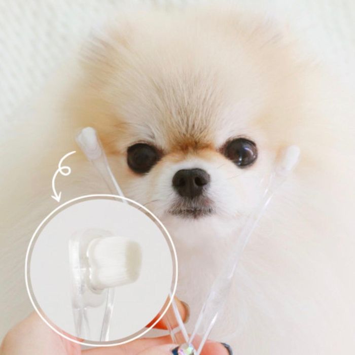 即納【bezibebi】 ベビークリア歯ブラシ 韓国 ブランド かわいい おしゃれ プレゼント 小型犬 おもちゃ NEW 秋 冬 犬 雨