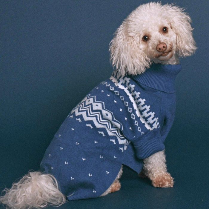 ※予約販売【max bone】Winter Nordic Knit Jumper 韓国 ブランド かわいい おしゃれ プレゼント 小型犬 ドッグウェア リード NEW 秋 冬