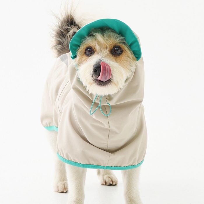 ͽmunikundRain RunnerBeige  ɥå 쥤󥳡 ⥰å  ɥåå 緿...