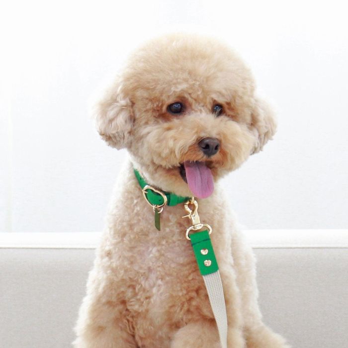 ※予約販売【maison de miu】 Heart Pendant Collar（Green） 韓国 ブランド かわいい おしゃれ プレゼント 小型犬 首輪 タオル 散歩グッズ NEW
