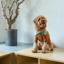 即納【munikund】Fotic Cashmere Knit（cocoa brown） 韓国 ブランド かわいい おしゃれ プレゼント 小型犬 キャラクター NEW 中型犬 春 秋 冬 大型犬 犬 中型犬 大型犬