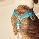 即納【iCANDOR】No-Pull Harness(FOREST) 犬用品 ドッググッズ ハーネス ドッグハーネス 犬ハーネス 犬用ハーネス 散歩用品 散歩グッズ 韓国 軽量 丈夫