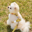 即納【noutti】Colorful Miffy Harness ハーネス ミッフィー miffy 韓国 犬用品 ドッググッズ ドッグウェア 犬服 犬の服 小型犬