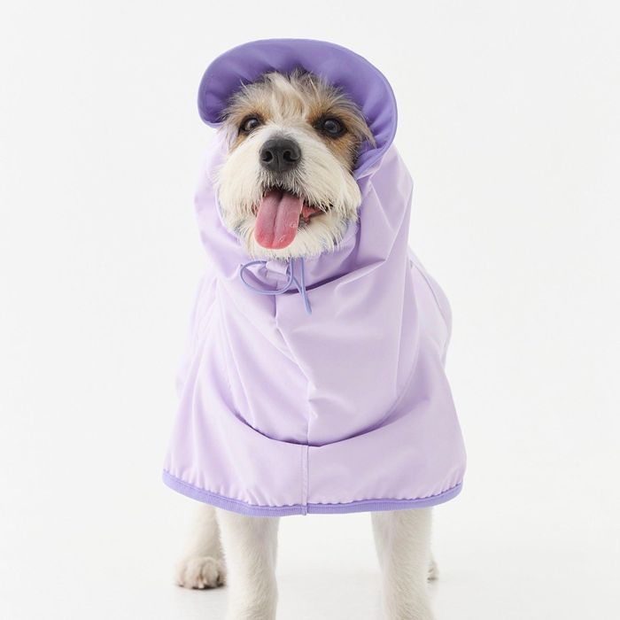 ¨ǼmunikundRain RunnerGrape  ɥå 쥤󥳡 ⥰å  ɥåå 緿 ...