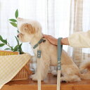 ※予約販売【maison de miu】 Running Mate Leather & Webbing Lead(Indian Blue/ Ivory) 韓国 ...