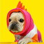 ※予約販売【TOOF】DINO SNOOD（PINK/ORANGE）