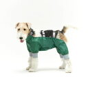 ※予約販売【munikund】WALD WADER(GREEN) 犬服 ドッグウェア 防水 防汚 犬用品 ドッググッズ 大型犬 大型犬服 中型犬 中型犬服(4)