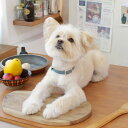 ※予約販売【maison de miu】Square Pearl Collar(Indian Blue) 韓国 ブランド かわいい おしゃれ プレゼント 小型犬...