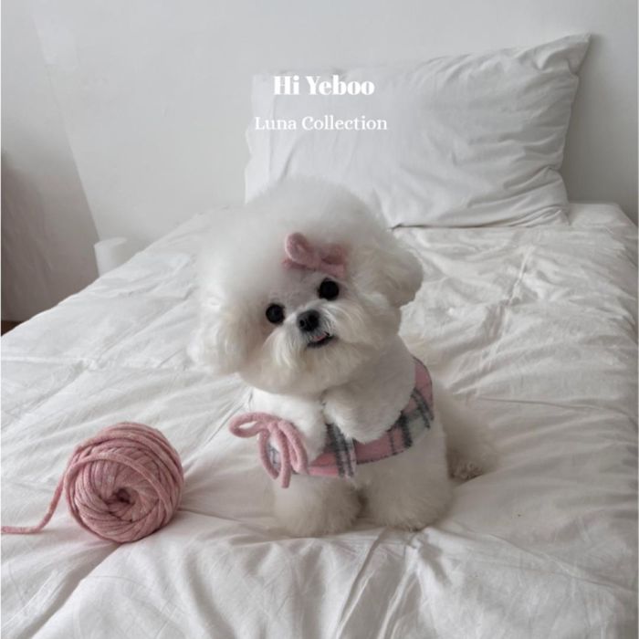 即納【Hi Yeboo】Luna Fur Cape（Pink） 犬用品 ドッググッズ ドッグウェア 犬服 犬の服 ケープ 小型犬..