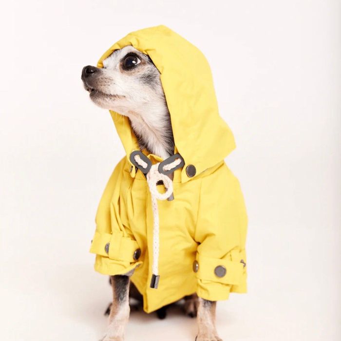 楽天URBAN DOG TOKYO 楽天市場店即納【max bone】Talon Raincoat（Yellow） 韓国 ブランド かわいい おしゃれ プレゼント 小型犬 ドッグウェア リード レインコート 散歩グッズ NEW 春 夏 秋 冬 犬