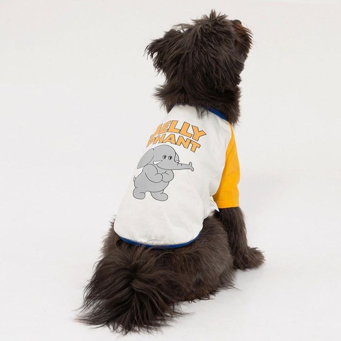 ※予約販売【andblank】Iconic Color Block T-Shirt（Jelly Phant） 犬服 ドッグウェア 犬の服 Tシャツ ..