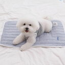※予約販売【Chiot】Cool mat with embroidered name(Blue) 韓国 ブランド かわいい おしゃれ プレゼント 小型犬 バッグ...