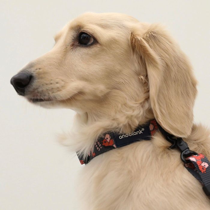 ※予約販売【andblank】Coco pony collar 韓国 犬用品 ドッググッズ 首輪 犬の首輪 ドッグカラー 犬首輪..