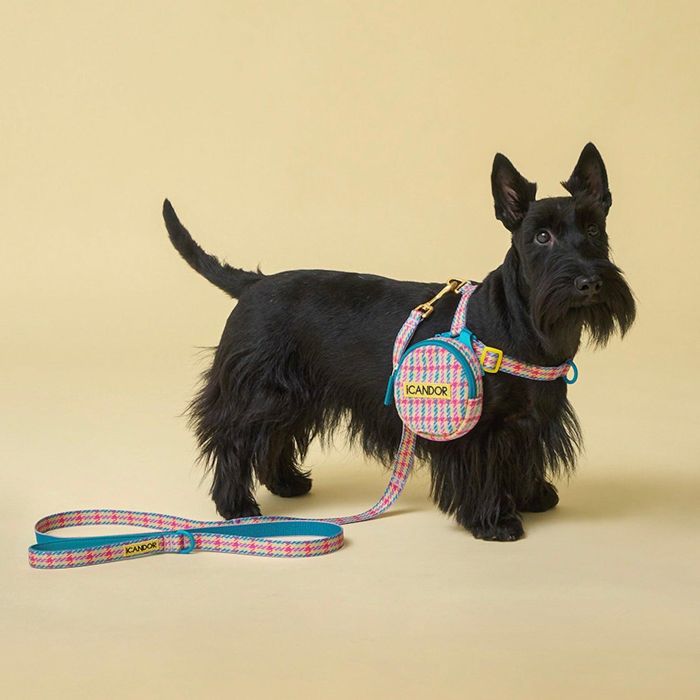 ※予約販売【iCANDOR】Gentle Leash（EDINBURGH CHECK） 韓国 犬用品 ドッググッズ リード 散歩リード ..