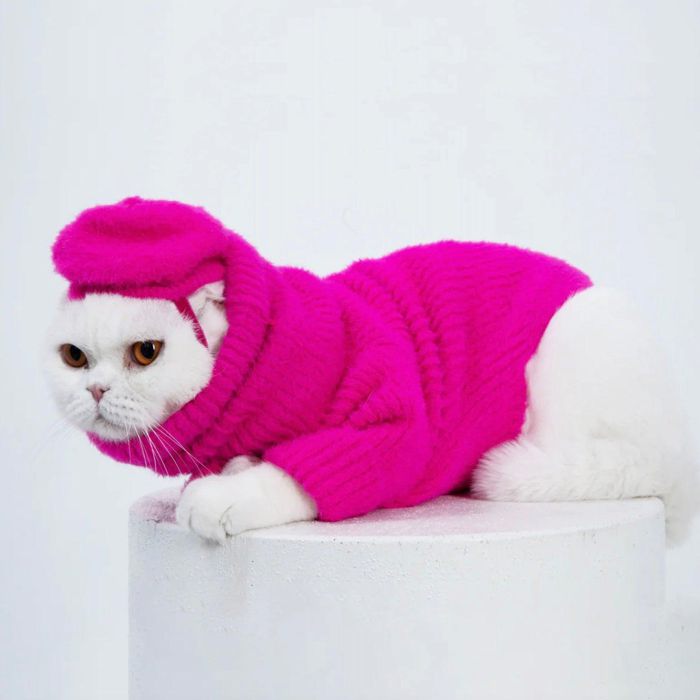 ͽMOSHIQAParis Collection Loves It Cat Sweater & Hat