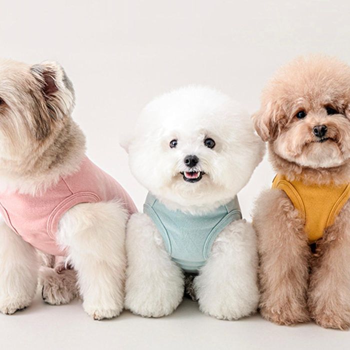 即納【BITE ME】Mochi Sleeveless(6colors) 韓国 犬用品 ドッググッズ スリーブレス ドッグウェア 犬服 犬の服 小型犬 小型犬服 春