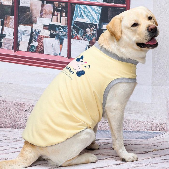 ※予約販売【munikund】Moca One Hole-T（Yellow） 犬服 ドッグウェア 犬の服 Tシャツ スリーブレス 犬..