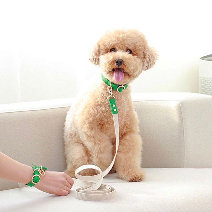 ͽmaison de miuHands Free Full SetGreen ڹ ֥ 襤  ץ쥼...