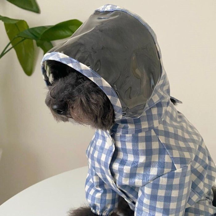 即納【Bonjour TOU-TOU】French all in one rain coat（Blue） 韓国 ブランド かわいい おしゃれ プレゼント 小型犬 ハーネス レインコート 散歩グッズ NEW 春 夏 秋 お出かけ 軽量 雨