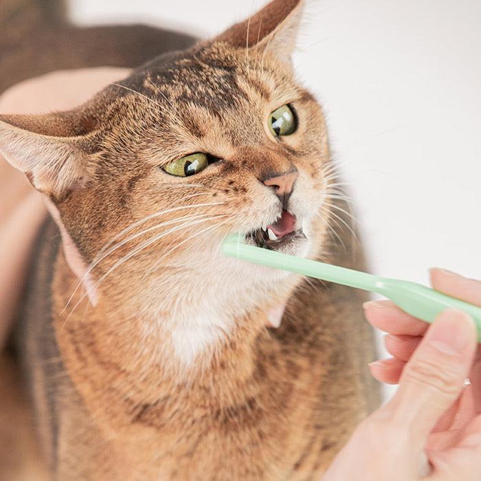 ※予約販売【BITE ME】Two Way Dual headed Ultra Small Tooth Brush 韓国 ブランド かわいい おしゃれ プレゼン...