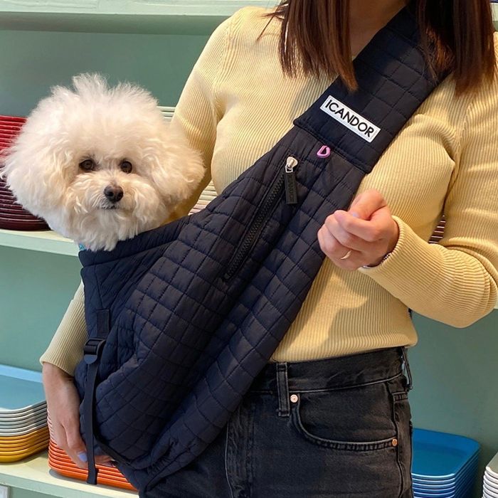 即納【iCANDOR】Dumpling Bag（Midnight Navy） 韓国 ブランド かわいい おしゃれ プレゼント 小型犬 バッグ スリング スリングバッグ 首輪 ハーネス ネームタグ NEW 中型犬 お出かけ 軽量