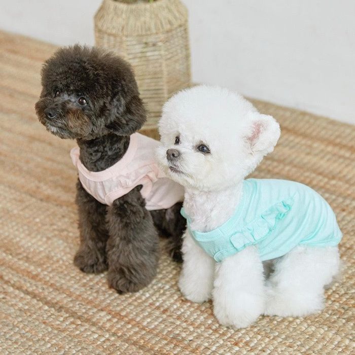 即納【BENNYS】コットンキャンディーフリルトップス（ミント） 韓国 ブランド かわいい おしゃれ プレゼント 小型犬 リンクコーデ NEW 春 夏
