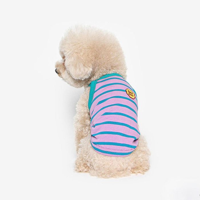 ͽTUSTUSSTRIPE STRAP TOPVIOLET  ɥå  ꡼֥쥹 ڹ  ɥå...