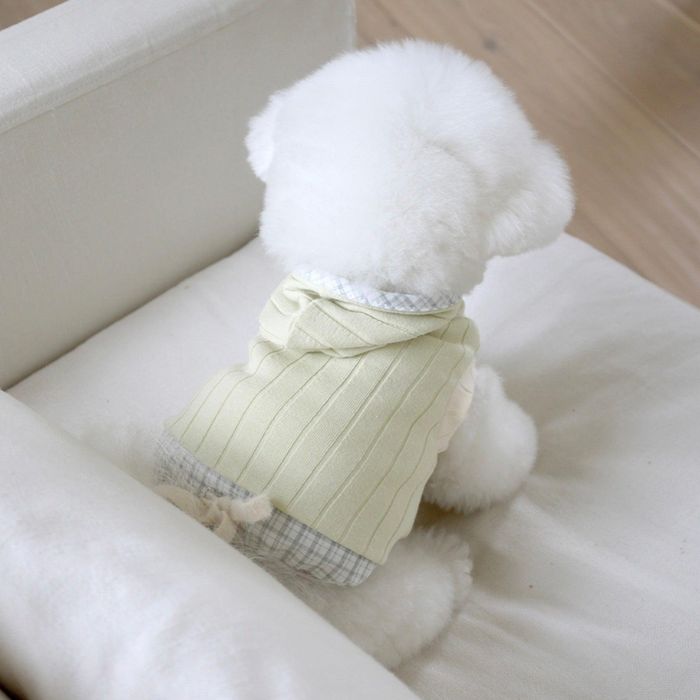 ͽnear by usEveryday Check HoodyPistachio˸ ɥå  ꡼֥쥹 ...