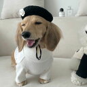 即納【ohha】turtleneck tops（white） 韓国 ブランド かわいい おしゃれ プレゼント 小型犬 NEW 春 秋 冬 犬 猫