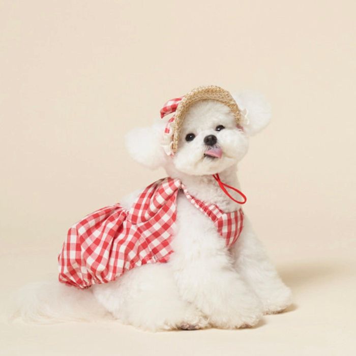 ͽmeaninglessCheck ribbon pumpkin one pieceRed ڹ ֥ 襤 ...