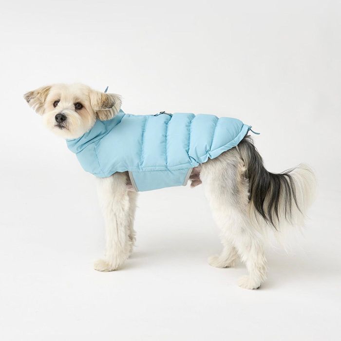 ※予約販売【iCANDOR】ADVENTURE PARKA THEMO 3（GENTLE BLUE） 犬服 ドッグウェア 防寒 冬 冬服 犬の服..