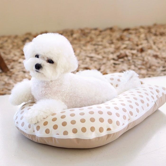※予約販売【GET BACK】Body pillow（Dot Beige） 韓国 ブランド かわいい おしゃれ プレゼント 小型犬 マット NEW クッション 犬